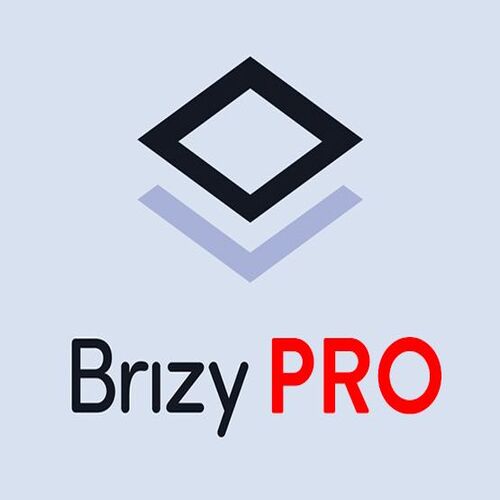 Brizy Pro