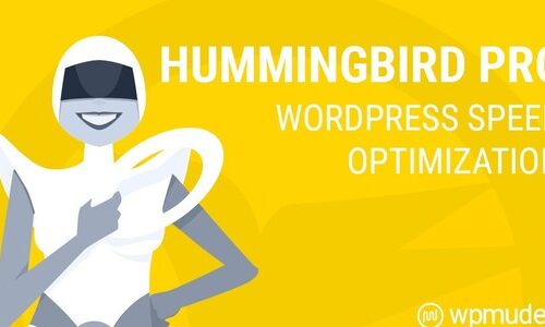 WPMUDEV Hummingbird Pro 3.13.1