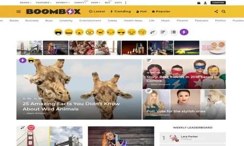 BoomBox 2.9.6 - Viral Magazine WordPress Theme