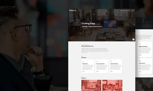 CSS Igniter Business3ree 2.6.3
