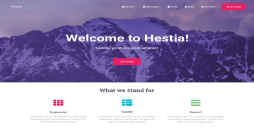 Hestia Pro 3.1.1 WordPress Theme