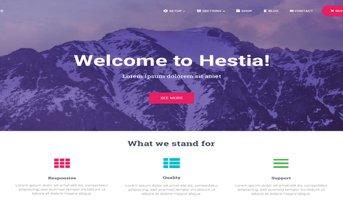 Hestia Pro 3.1.1 WordPress Theme