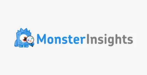 MonsterInsights Plus 9.11.0