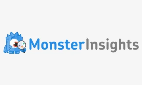 MonsterInsights Plus 9.11.0