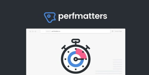 Perfmatters 2.4.2 - The #1 Web Performance Plugin for WordPress