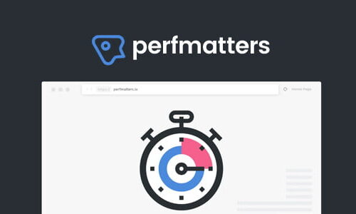 Perfmatters 2.4.2 - The #1 Web Performance Plugin for WordPress