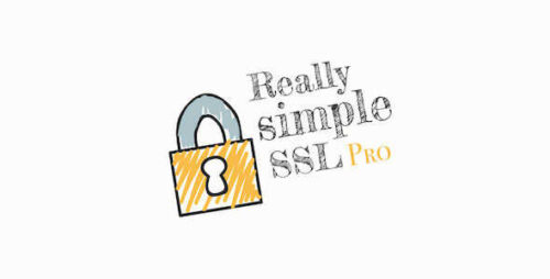 Really Simple SSL Pro 9.3.3