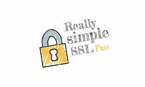 Really Simple SSL Pro 9.5.4.1