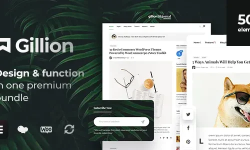 Gillion 4.13 - Multi-Concept Blog/Magazine & Shop Theme