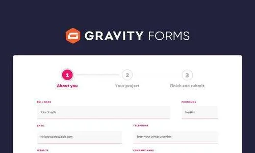 Gravity Forms 2.9.21 + 64 Addons Bundle