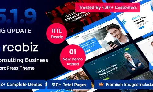 Reobiz 6.0.2 - Consulting Business WordPress Theme