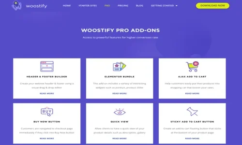 Woostify Pro Addon 1.8.5