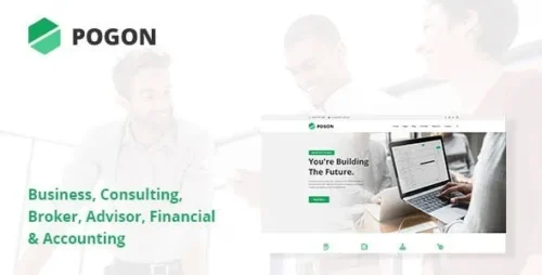 best Pogon finance WordPress theme instant download