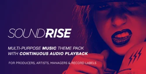 best music artist wordpress theme premium download