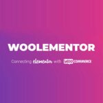 Woolementor Pro 3.4.2 - Premium Feature Unlocker For Woolementor