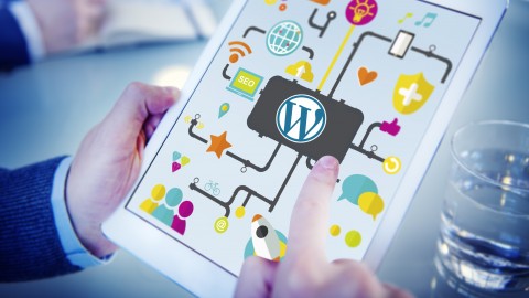 [Free Download] Social Log In For WordPress Website