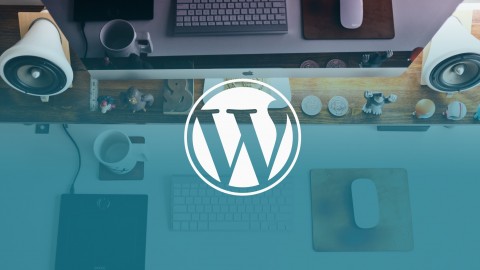 [Free Courses] How to Use Custom Fields in WordPress Theme Development