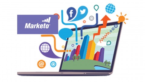 [Free Download] Marketo Foundation Training Series by ShowMeLeads
