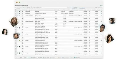 best WooCommerce bulk edit tool instant download