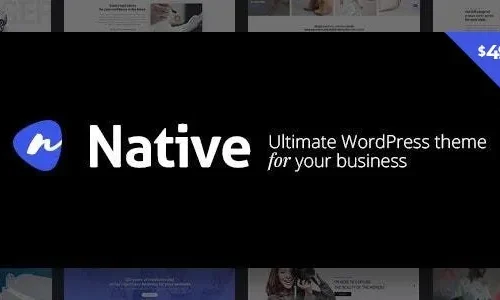 Native 1.6.98 – Stylish Multi-Purpose Creative Theme