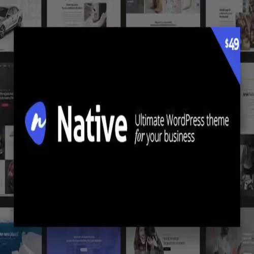 Native WordPress theme