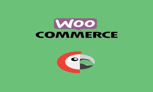 Polylang for WooCommerce 1.9
