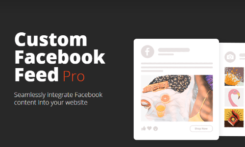 Custom Facebook Feed Pro 4.6.5
