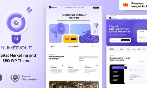 Numérique 5.3 – SEO Digital Marketing WordPress Websites