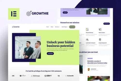 best business coach Elementor template kit instant download