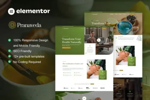 best PranaVeda Ayurveda spa template download commercial license