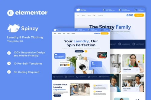 best Spinzy laundry website template instant download