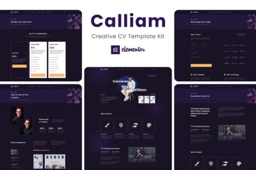 best creative CV Elementor template kit instant download