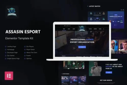 Assasin | eSport & Gaming Elementor Template Kit