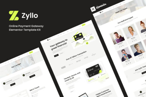 best payment gateway website template instant download