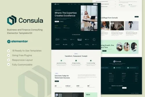 best business consulting template kit for Elementor download