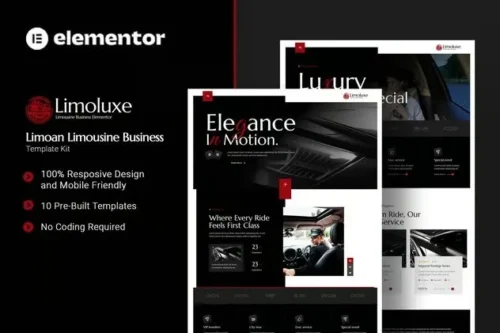 best premium limousine business template for instant download