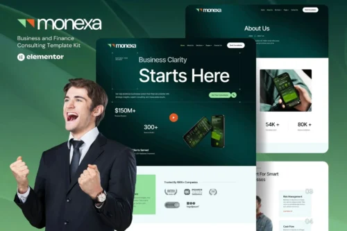 best Monexa consulting website template instant download