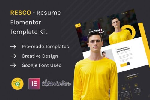 Professional Resume Elementor Template Kit instant download