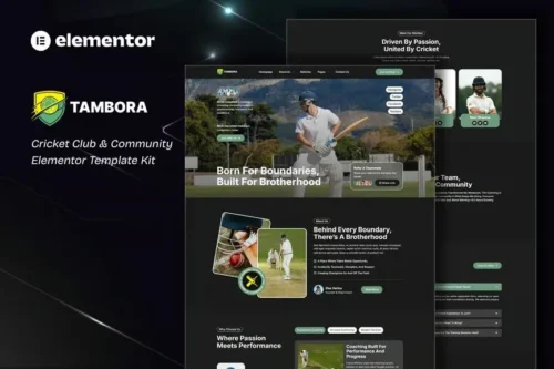 best cricket club Elementor template kit instant download