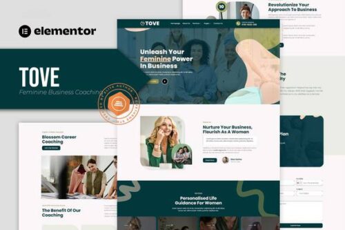 best feminine coaching website template instant download