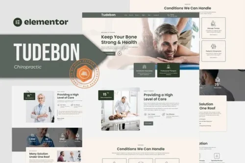 best chiropractic Elementor template download