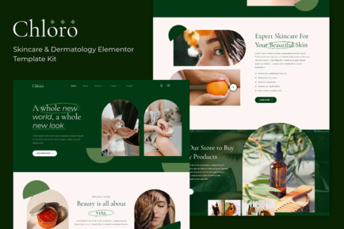 best skincare dermatology elementor template download