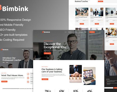 Bimbink - Business Coach & Consulting Elementor Template Kit