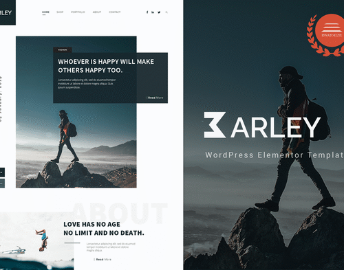 Barley - Blog & Magazine Elementor Template Kit