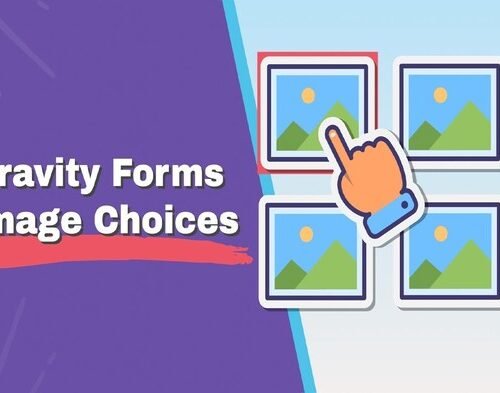 Gravity Forms Enhanced Choices 0.2.16
