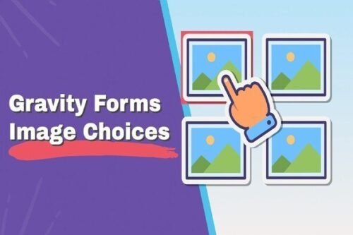 Gravity Forms Enhanced Choices interface showing image selection for radio buttons and checkboxes in WordPress.