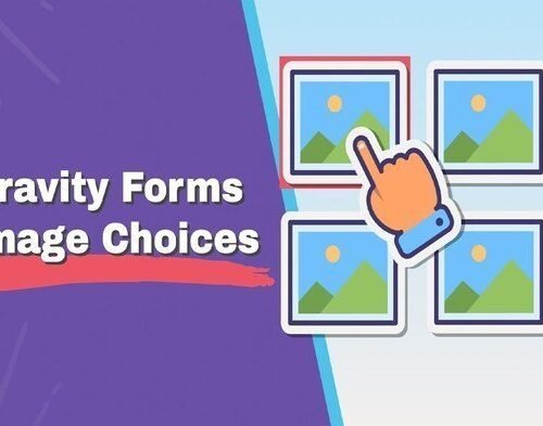 Gravity Forms Enhanced Choices 0.2.16