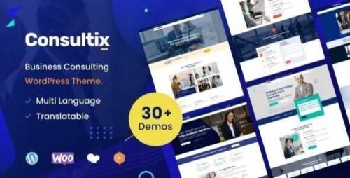best business consulting WordPress theme premium download
