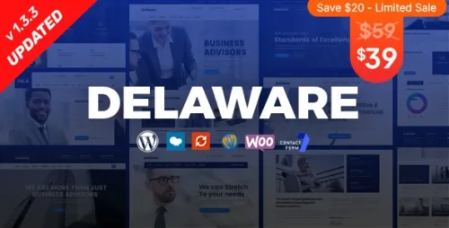 best Delaware consulting WordPress theme premium download