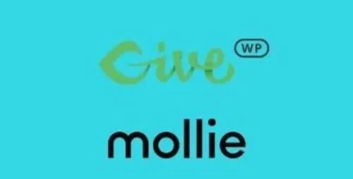 best GiveWP Mollie payment gateway plugin instant download